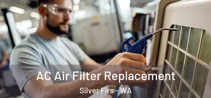  AC Air Filter Replacement Silver Firs - WA