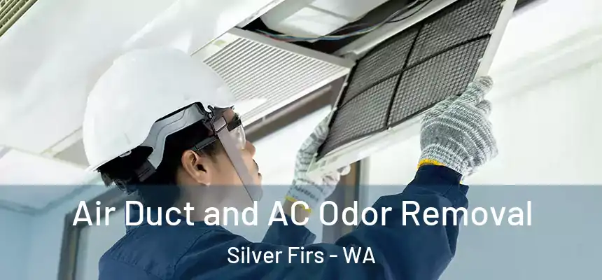  Air Duct and AC Odor Removal Silver Firs - WA