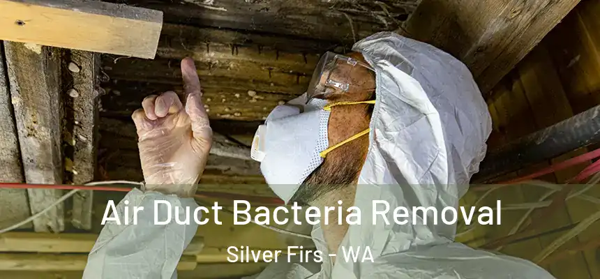 Air Duct Bacteria Removal Silver Firs - WA