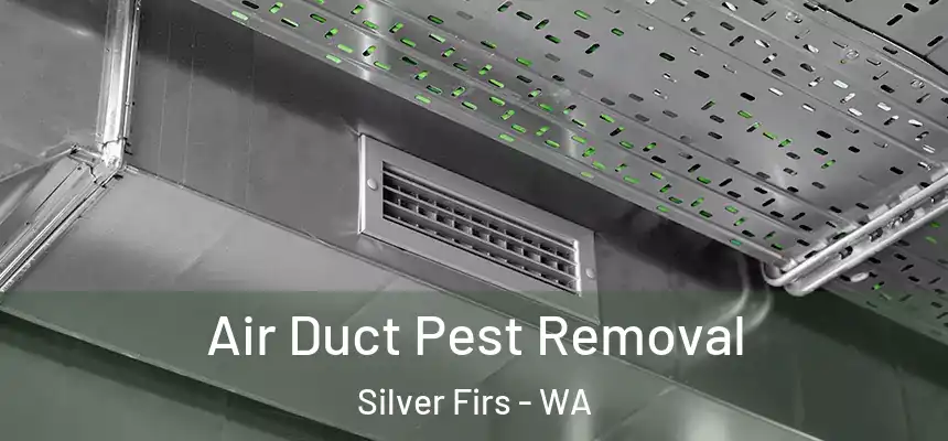  Air Duct Pest Removal Silver Firs - WA