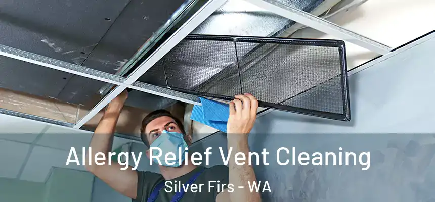  Allergy Relief Vent Cleaning Silver Firs - WA