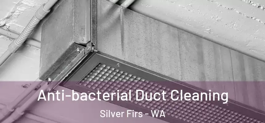  Anti-bacterial Duct Cleaning Silver Firs - WA