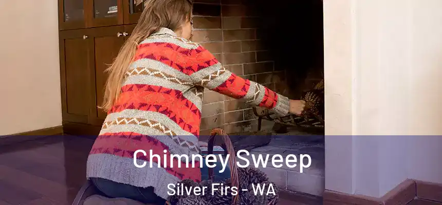  Chimney Sweep Silver Firs - WA