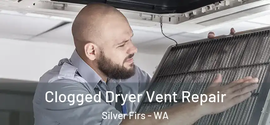  Clogged Dryer Vent Repair Silver Firs - WA