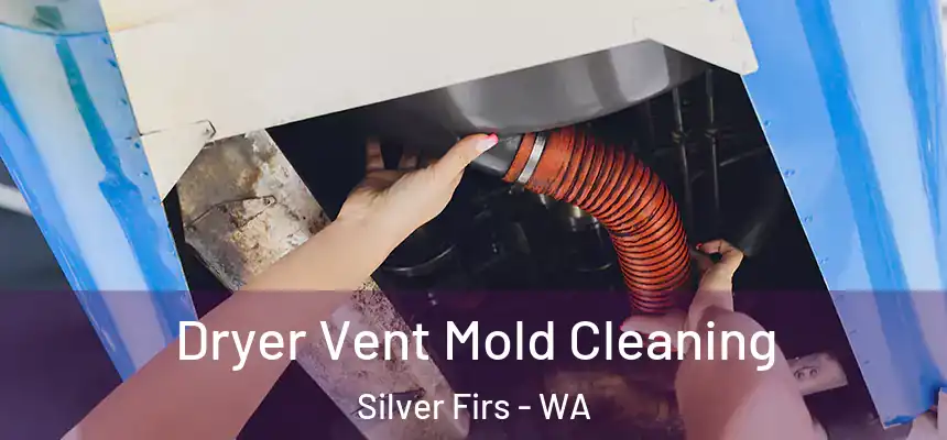  Dryer Vent Mold Cleaning Silver Firs - WA