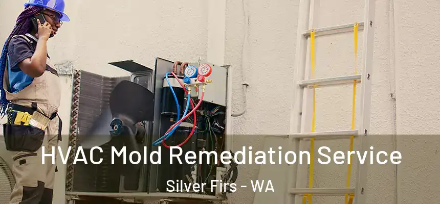  HVAC Mold Remediation Service Silver Firs - WA
