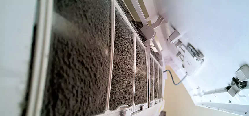 Preventive Air Duct Bacteria Removal in Silver Firs