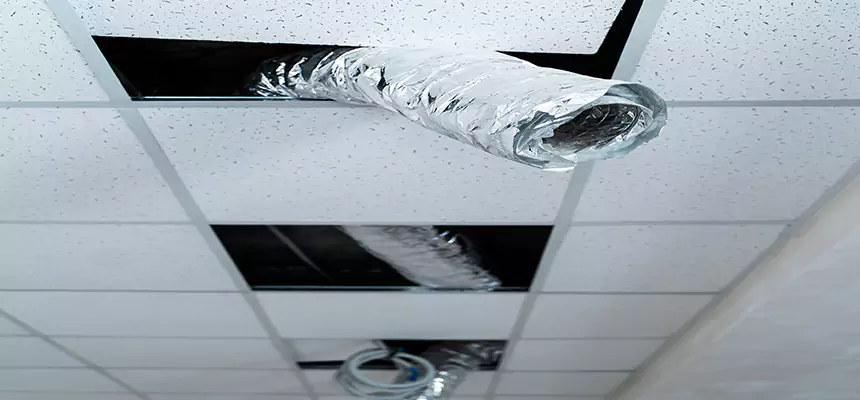 Our Air Duct Pet Hair Removal Services in Silver Firs, WA