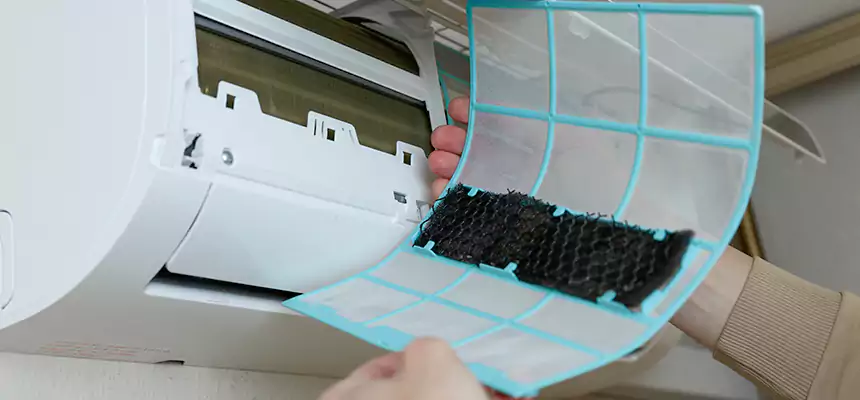 Gentle Ductwork Odor-Control Pet Dander Duct Cleaning in Silver Firs, WA