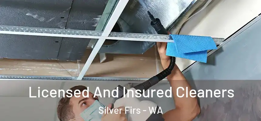  Licensed And Insured Cleaners Silver Firs - WA