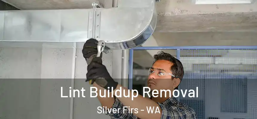  Lint Buildup Removal Silver Firs - WA