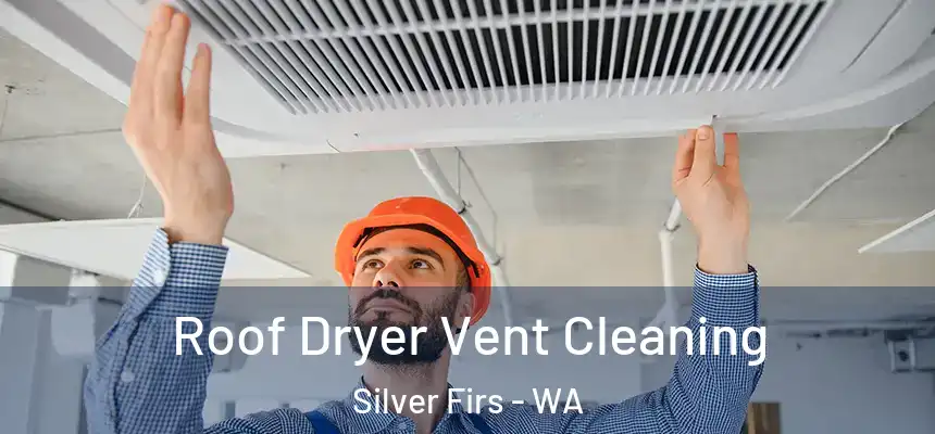 Roof Dryer Vent Cleaning Silver Firs - WA