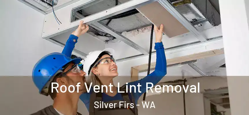  Roof Vent Lint Removal Silver Firs - WA