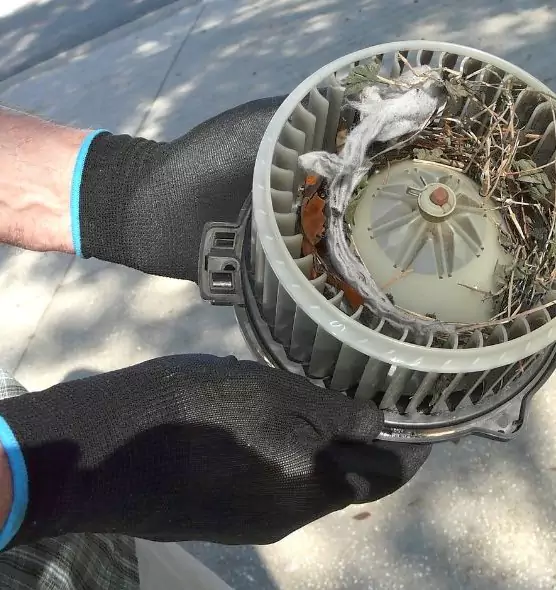 About Air Duct Mice Removal in Silver Firs, WA