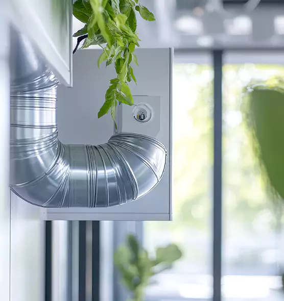 Professional Eco-Safe Dryer Vent Cleaning in Silver Firs, WA