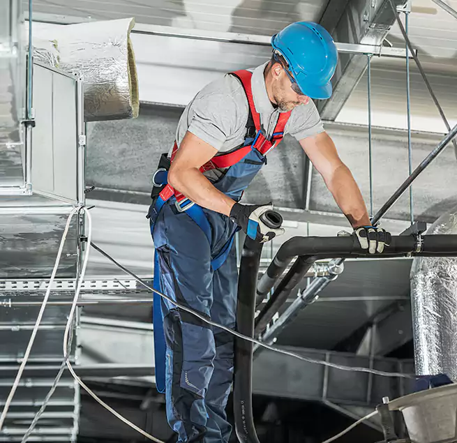 Why Homeowners & Businesses Trust Us in Silver Firs, WA?