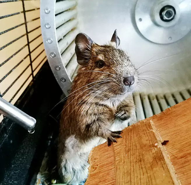 Why Homeowners & Businesses Trust Us Silver Firs, WA