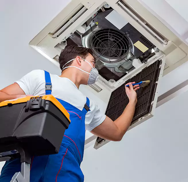 Why Homeowners & Businesses Trust Us in Silver Firs, WA