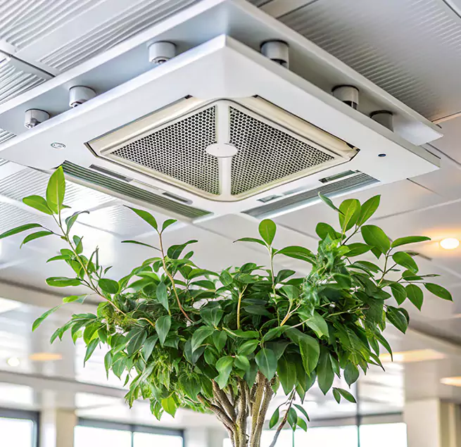 Why Homeowners & Businesses Trust Us in Silver Firs, WA?