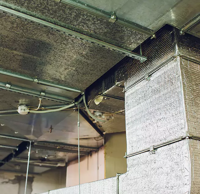 Why Homeowners & Businesses Trust Us in Silver Firs, WA?