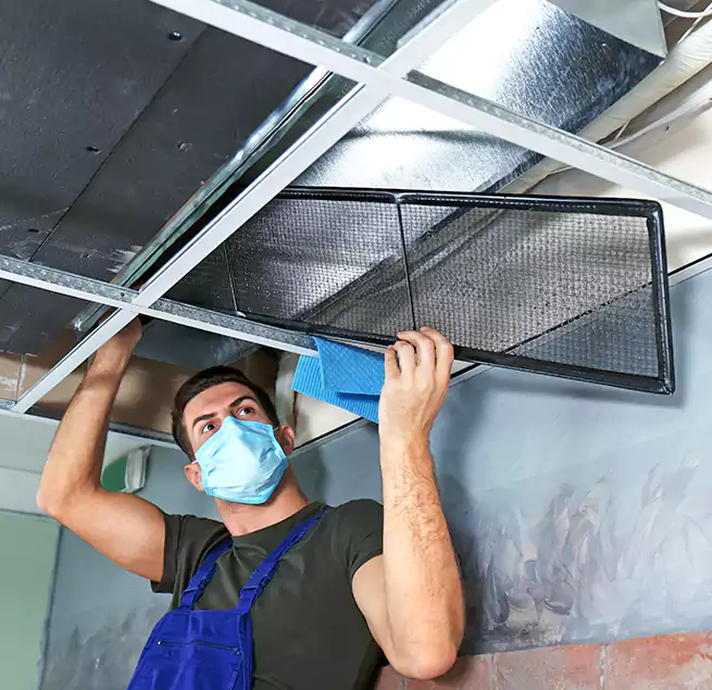 Why Homeowners Businesses Trust Us in Silver Firs, WA